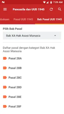 Pancasila dan UUD 1945 android App screenshot 4